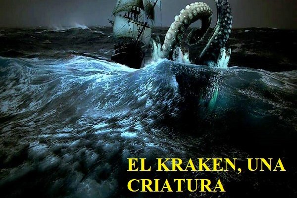 Kraken 20at