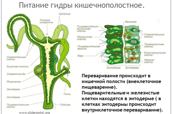 Кракен сайт даркнет ссылка