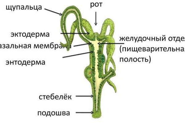 Кракен упал