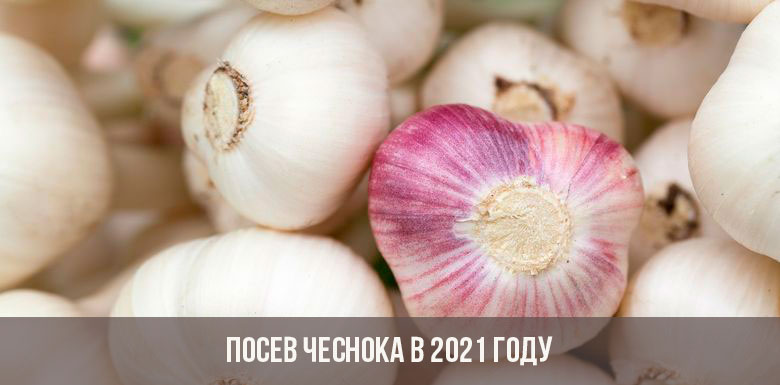 Онлайн магазин наркотиков