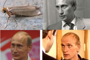 Кракен даркнет в тор